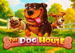 สล็อต วอ เลท เว็บตรง The Dog House ทดลองเล่นฟรี